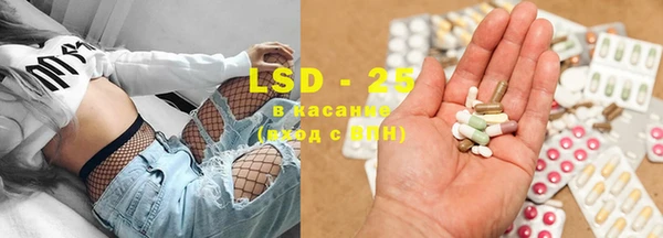 PSILOCYBIN Богородск