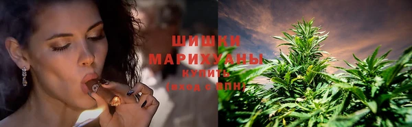 PSILOCYBIN Богородск