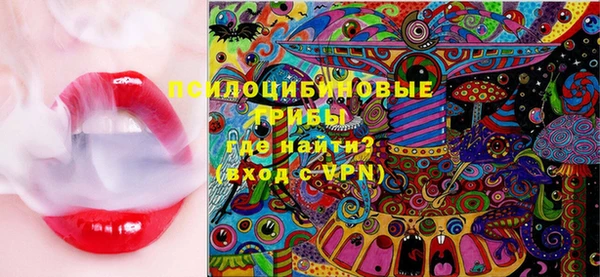 ГАЛЛЮЦИНОГЕННЫЕ ГРИБЫ Белоозёрский