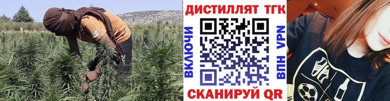 сколько стоит Калуга hydra вход Дистиллят ТГК вейп