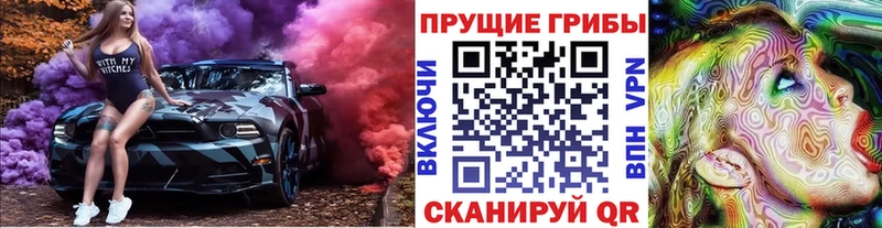 купить наркоту  Калуга  shop состав  Псилоцибиновые грибы Magic Shrooms 