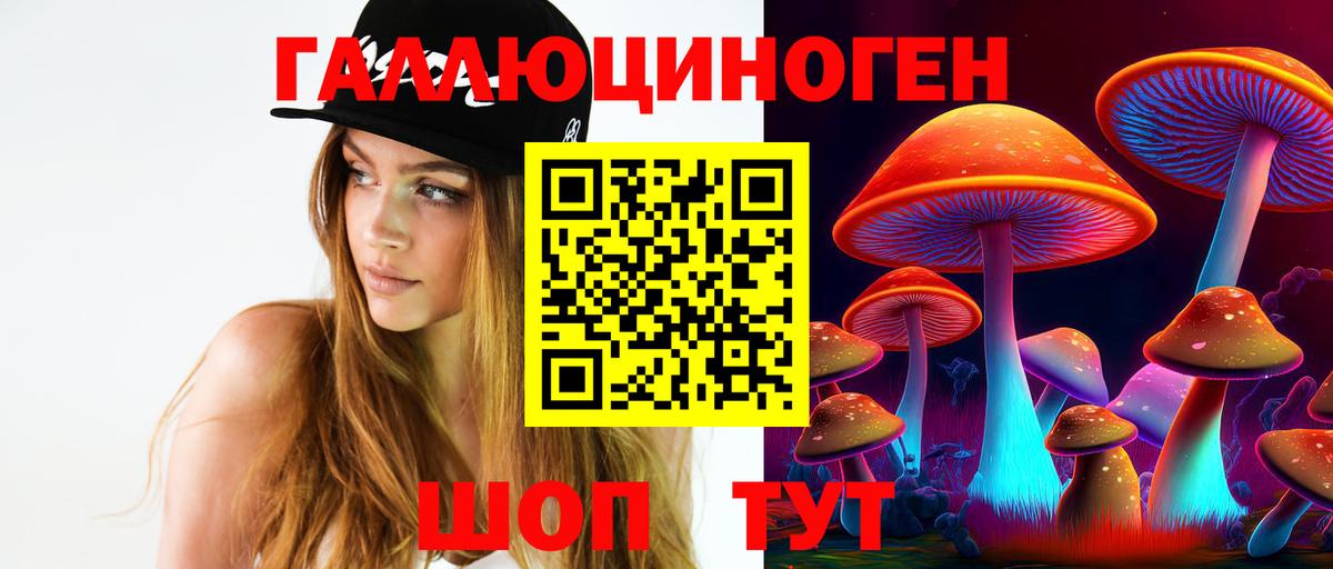 Калуга  Галлюциногенные грибы Cubensis  Вход с VPN 