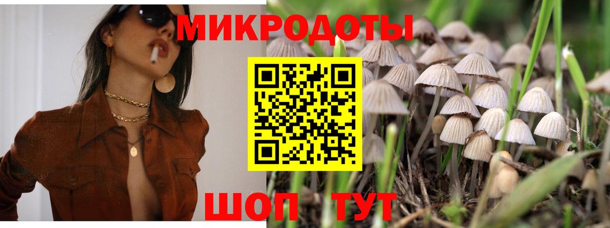 Галлюциногенные грибы прущие грибы Калуга
